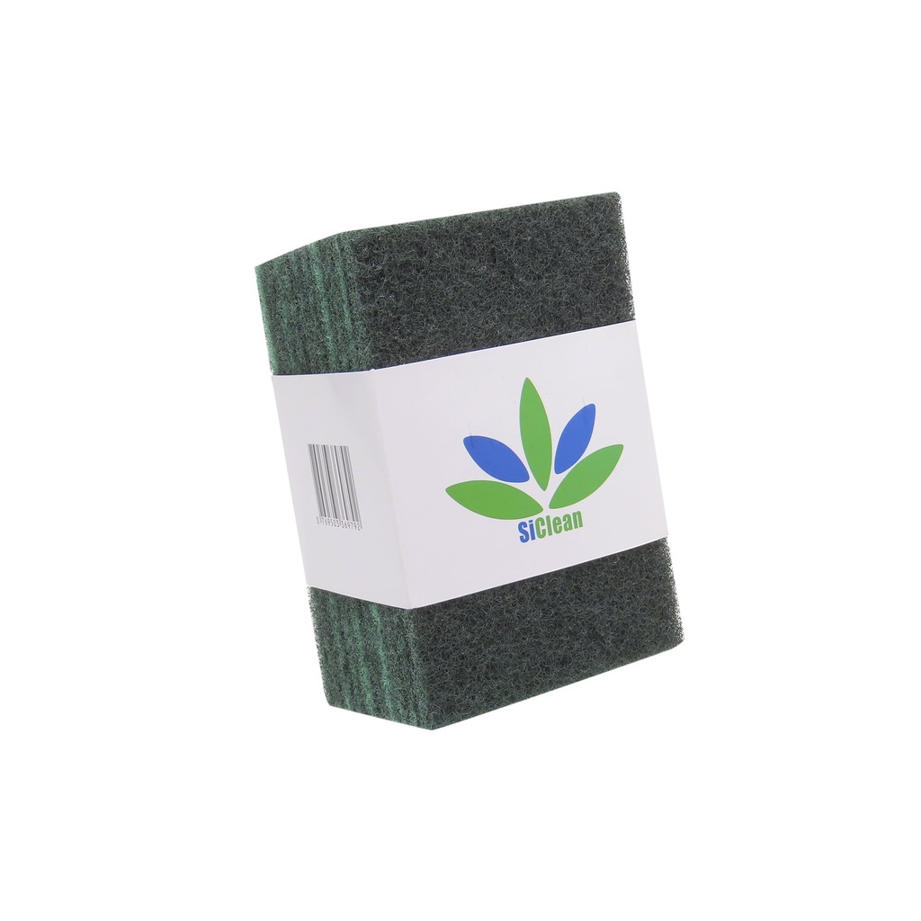 Brillo verde 6x4 (10 unidades)